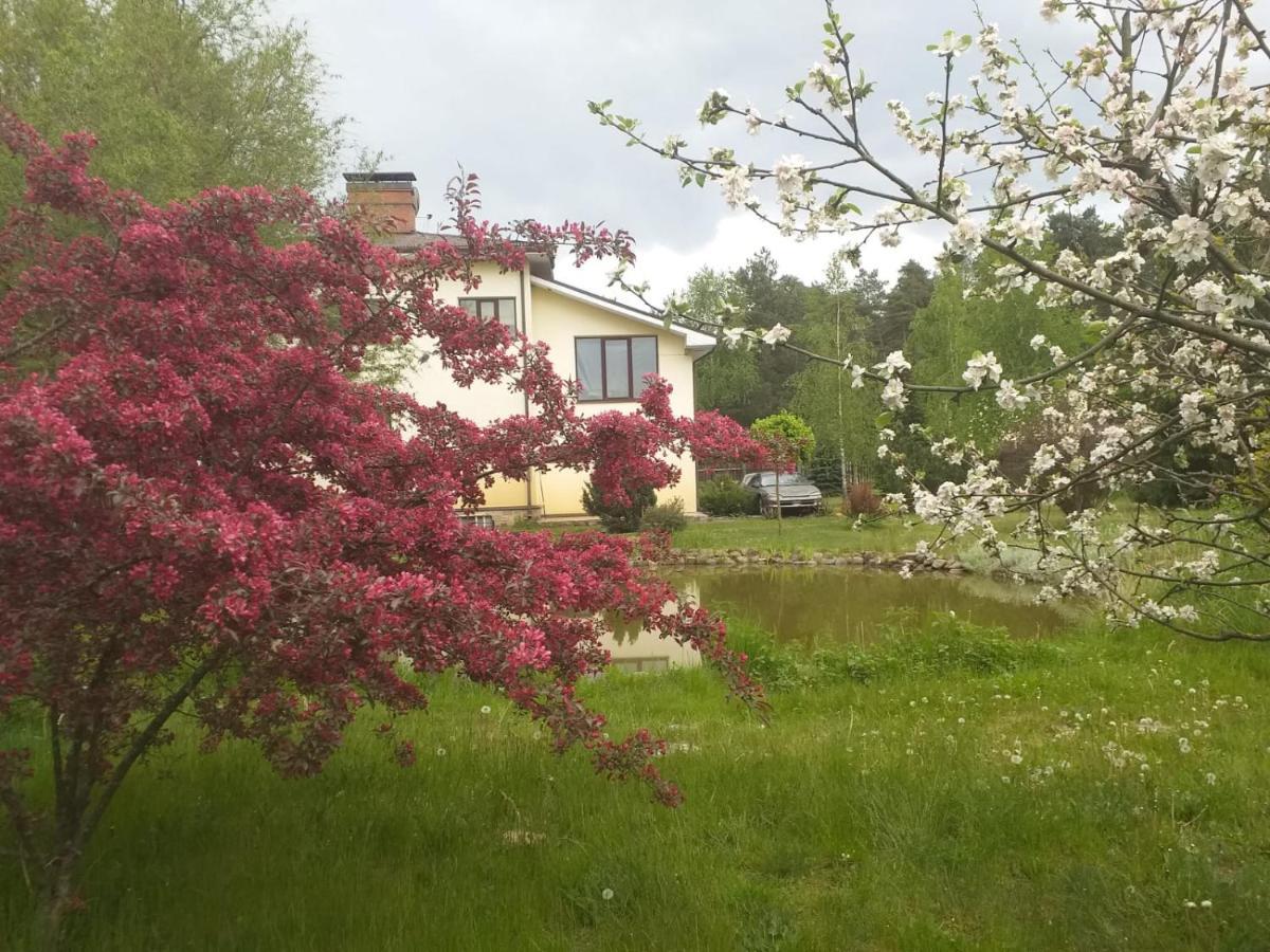 Guest House Pechersky & Sons Dreilini  Eksteriør bilde
